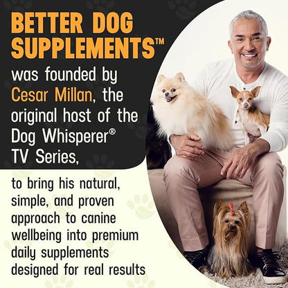 Better Dog Supplements Skin Magic by Cesar Millan – Natural Skin and Coat Supplement for Dogs Irritation from Seasonal Factors, Hot Spots, & Itch Relief Dog Skin Supplement – 4oz (60-Day Supply)