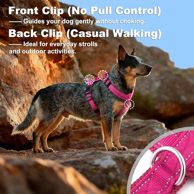 No Pull Dog Harness with Handle, Soft Mesh Padded Adjustable for Small Medium Large Dogs | Reflective Easy Walk Harness with Front Clip for Training, Running & Outdoor (Hot Pink, M)