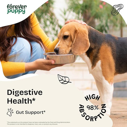 Forever Puppy Digestion Drops for Dogs - Fennel Seeds & Licorice Root Extract for Dogs' Gut Cleanse - Liquid Digestive Health Support Fiber Supplement for All Breeds & Sizes - 2 oz