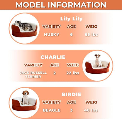 39.4" Orange Large Dog Couch Bed for Large Dogs Under 80lbs, Semi-Wrapped Round Faux Shearling Elevated Dog Sofa Chair, No Assembly Required Luxurious Indoor Furniture Style Pet Supplies