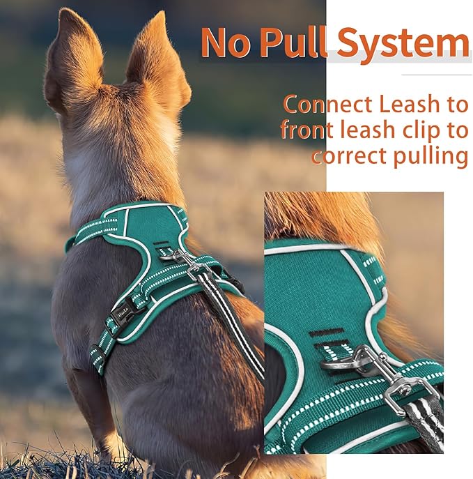 HEELE Dog Harness for Small Dogs No Pull Dog Vest Harness for Small Dog with Soft Padded Handle Reflective for Outdoor Training, Grass Green, S