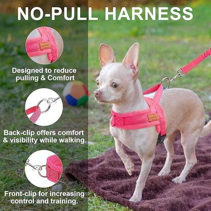 BEAUTYZOO Dog Harness for Small Dogs, No Pull Dog Harness and Leash Set, Soft Escape Proof Puppy Vest Harness with Handle, Reflective Lightweight Step in Harness for Girl Boy Dogs, Pink S