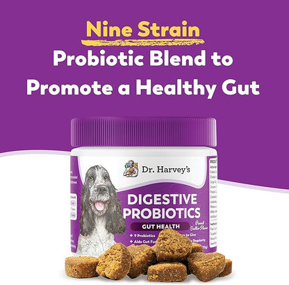 Dr. Harvey's Digestive Probiotic Soft Chews for Dogs, 9 Probiotics for Gut Health, Diarrhea and Bowel Support, Peanut Butter Flavor (90 Chews)
