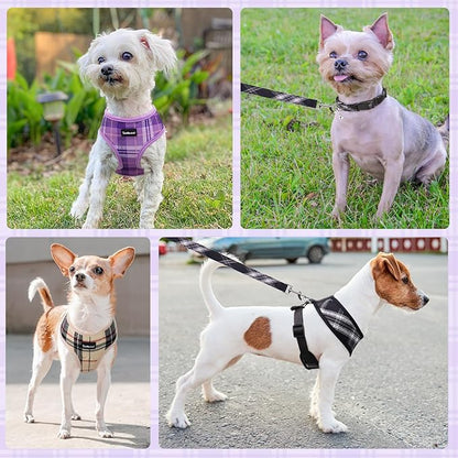 SCENEREAL No Pull Small Dog Harness Collar and Leash Set, Soft Mesh Plaid Puppy Harnesses for Fall Winter, No Chock Pet Vest for Outdoor Walking Training and Running, Beige S