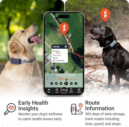 PAJ GPS Tracker for Dogs - 4G GPS Collar Tag with Real-Time Location Tracking & Runaway Alert - Waterproof & Up to 10 Days Battery Life - Fits Any Collar w/Glowing LEDs - Subscription Required - Grey