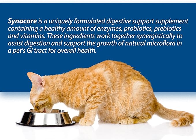 Synacore Feline - (30 Count) All Natural Formula to Provide Immune Support for Cats & Help Maintain Digestive Health - Probiotics and Vitamins for Cats - Natural Pet Products