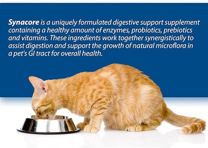 Synacore Feline - (30 Count) All Natural Formula to Provide Immune Support for Cats & Help Maintain Digestive Health - Probiotics and Vitamins for Cats - Natural Pet Products