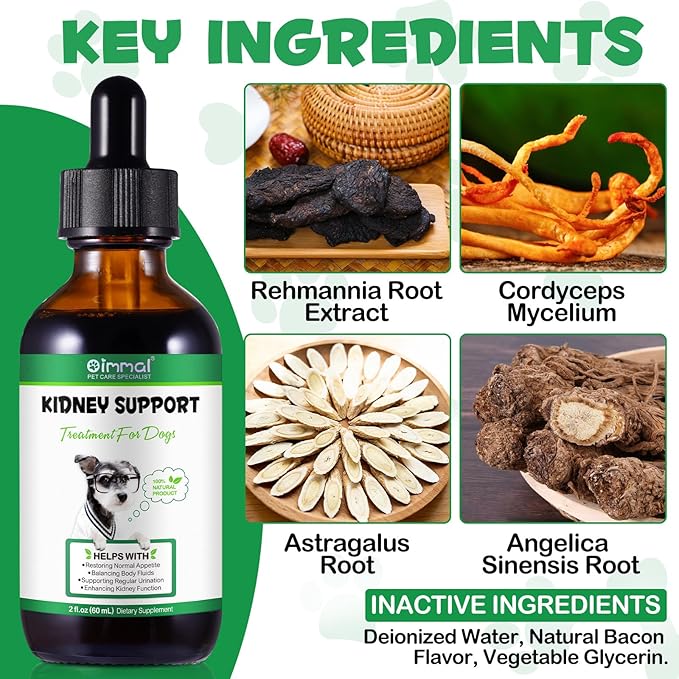 Kidney Support for Dogs - Kidney Support Supplement, Supports Immune, Urinary & Kidney Health Function, Natural Herbal Supplement (2 Fl Oz)