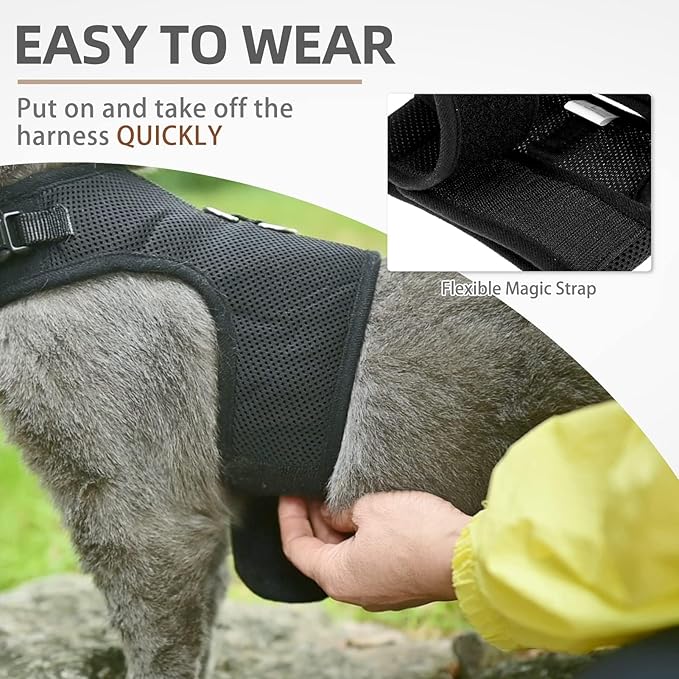 PUPTECK Soft Mesh Cat Vest Harness and Leash Set Puppy Padded Pet Harnesses Escape Proof for Cats Small Dogs Rabbits Bunny, Black Large