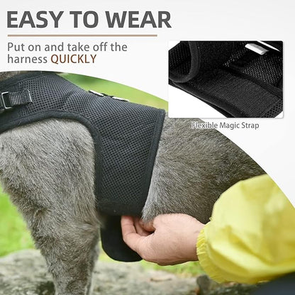 PUPTECK Soft Mesh Cat Vest Harness and Leash Set Puppy Padded Pet Harnesses Escape Proof for Cats Small Dogs Rabbits Bunny, Black Medium