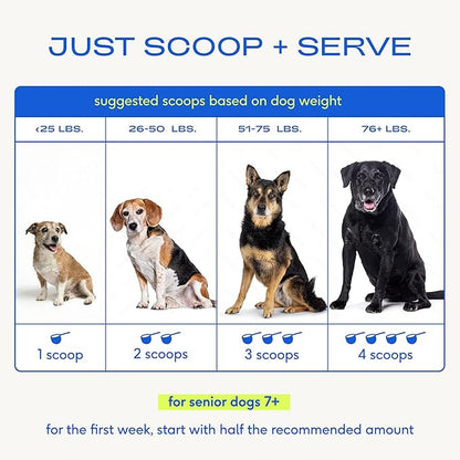 Native Pet Senior Daily Dog Vitamins & Supplements – 12-in-1 Dog Multivitamin Powder for Senior Dogs – Supports Mobility, Cognition, Digestion, Immune Health & More – 30 Scoops