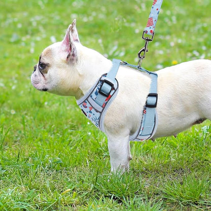 PUPTECK Small Dog Harness and Leash Set, No Pull Adjustable Puppy Cat Harness, Reflective Soft Mesh Pet Vest Small Sized, American Style, M