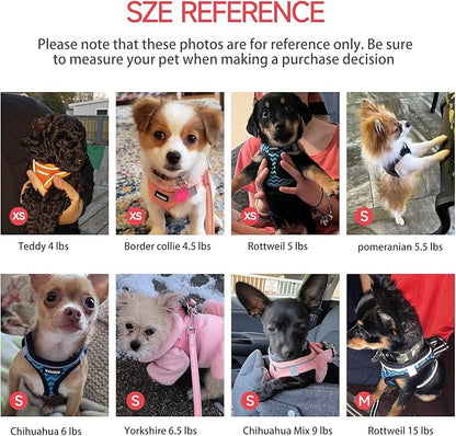 Dog Harness for Small Dogs and Leash Set, Honeycomb Grid, Reflective Lightweight Harness & Anti-Twist Pet Lead Multi Color, Size: XS-S-M. (S, Black & Red)