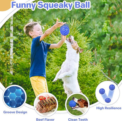 DISSKNIC Indestructible Squeaky Dog Ball, Relieves Anxiety, Cleans Teeth, Interactive Chew Toy for Aggressive Chewers, Dog Toy for Large Breeds, Outdoor Waterproof