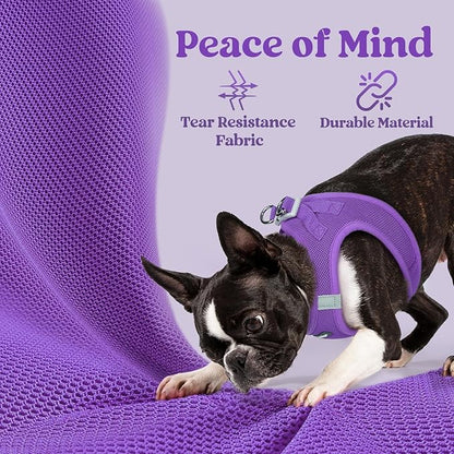 rabbitgoo Small Dog Harness, Step-in Soft Mesh Puppy Vest with Safety Buckle, Breathable Reflective Pet Harness for Small Medium Dogs, Purple XL