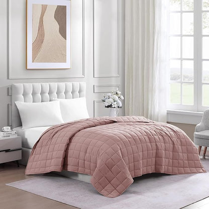 Casa Platino Soft Quilted Microfiber Down Alternative All Season Bed Blanket - Sepia Rose