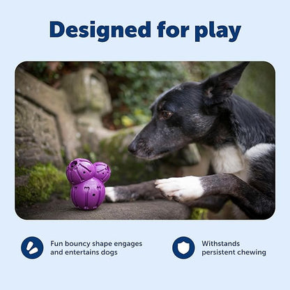 PetSafe Busy Buddy Barnacle - Treat Dispensing Dog Toy for Mental Stimulation - Natural Rubber - Durable Construction - Dishwasher Safe - Treat Meter Technology - Perfect for Peanut Butter - Medium