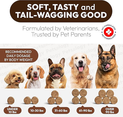Turkey Tail Mushroom for Dogs - 250 Chews - Lion’s Mane - Shiitake - Reishi - Buddy Immune Support Guard - Lipoma Mushroom Supplement for Dogs Lumps and Bumps Glucosamine, Health Vitamins Multivitamin
