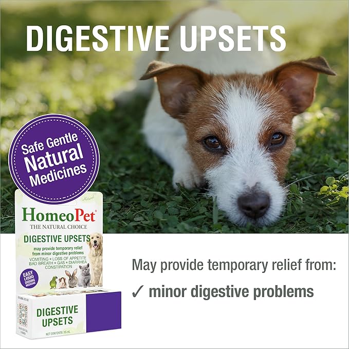HomeoPet Digestive Upsets, Safe, Gentle, and Natural Cat and Dog Digestive Support, 15 Milliliters