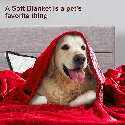DREAMNINE Ultra Large Soft Fuzzy Flannel Fleece Blanket King Size 90" x 108", Decorative Solid Lightweight Fluffy Velvet Bed Blanket,Luxury Big Cute Cozy Shag Plush Microfiber Blankets for Bedroom,Red