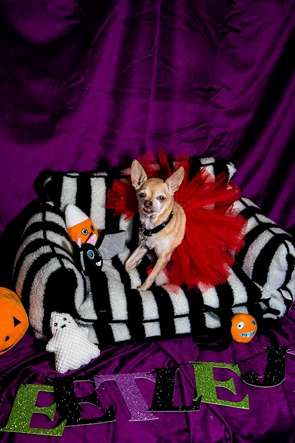 Glow Pups Dog Sofa, Cozy & Calming Pet Beds, 3-Sided Sofa Design with Faux Lambswool Cushion, Machine Washable Cotton Blend, Black/White Striped X-Large Pet Bed for Ultimate Comfort