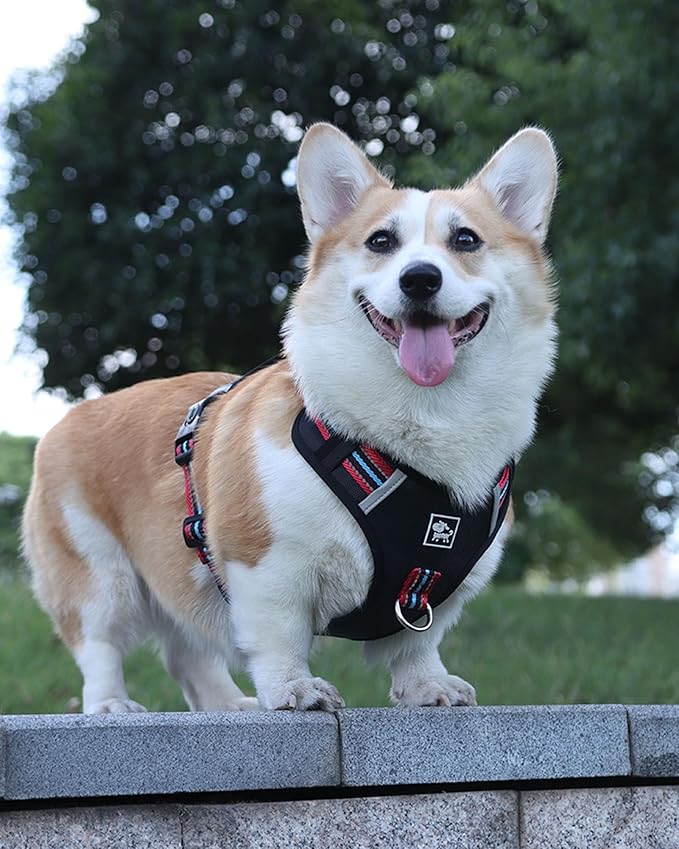 No Pull Dog Harness with Easy Control Soft Handle for Small Medium Large Dogs,Reflective Adjustable Puppy Harness,Heavy Duty Girl Boy Pet Vest with Safety Buckle (Black, S)