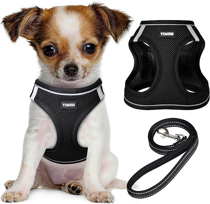 YIMEIS Dog Harness and Leash Set, No Pull Soft Mesh Pet Harness, Reflective Adjustable Puppy Vest for Small Dogs, Cats (M, Black) fit Small