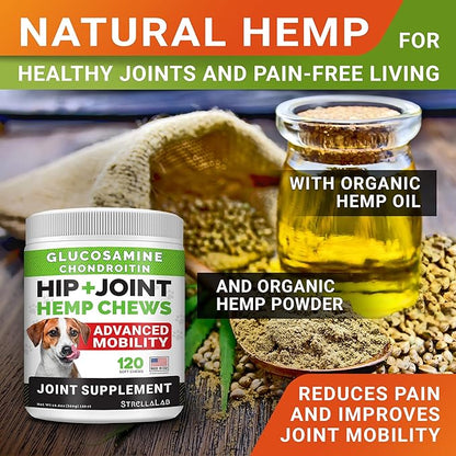 Hemp Chews for Dogs - Hip & Joint Supplement with Glucosamine - Joint Pain Relief Treats - Omega 3, Chondroitin, MSM - Advanced Mobility Support - Chicken Flavor - 120 Ct - Made in USA