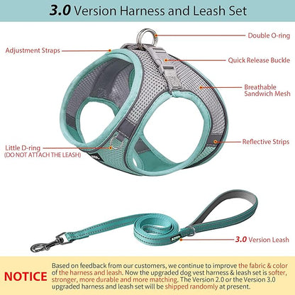 AIITLE No Pull Dog Harness and Leash Set, Step in Adjustable Dog Harness with Padded Vest for All Weather, Dog Leash with Soft Padded Handle, Easy to Put on Small and Medium Dogs Turquoise S