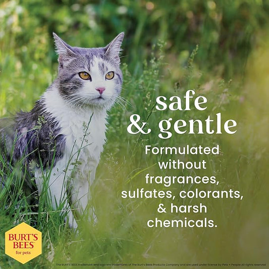 Burt's Bees for Pets Cat Dander Remover Wipes, Unscented Soft Grooming Cloths with Colloidal Oat Flour + Aloe, Helps Reduce Flaking Between Baths for Cats & Kittens, 50 Count