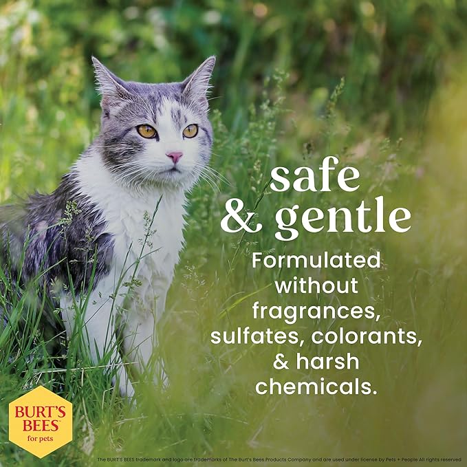 Burt's Bees for Pets Cat Dander Wipes with Colloidal Oat Flour, 98% Natural Origin Formulas, Cats Dandruff Remedy, Feline Cleansing Sheets for Allergy Relief, 3pk, 50ct