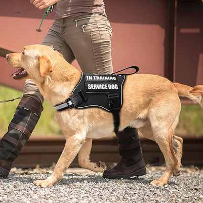 Service Dog Vest Harness and Leash Set+10 Patches,No Pull&Easy Walk Reflective Dog Harness with Soft Padded Handle for Training/Everyday,Fit Small/Medium/Large/Extra-Large Dogs(Black M)