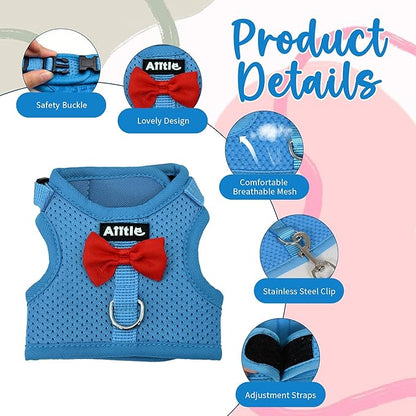AIITLE Rabbit Harness and Leash Set with Cute Bow, Soft Breathable Mesh Vest Harness for Rabbits Kitten Ferret Puppy Small Pets Walking Supplies Blue S