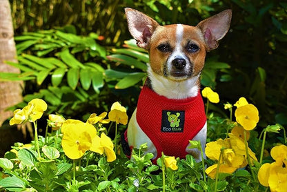 EcoBark Dog Harness - Luxurious Soft Mesh - Eco-Friendly Over the Head Vest Harness - No Pull & No Choke Design - Padded Breathable Body Halter - for Puppy, Toy, and Small Breeds (Red, Small)