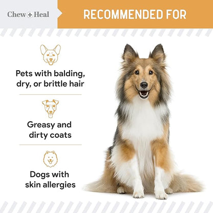 Omega 3 Fish Oil for Dogs -360 Soft Chew Omega Treats for Skin and Coat -Salmon Oil Blend of Essential Fatty Acids, Vitamins, Antioxidants, Minerals -Made in USA (2 Packs of 180, Chicken Flavor)