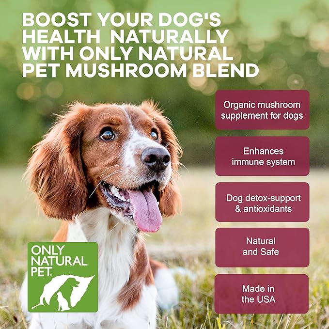 Only Natural Pet Mushroom Blend Immune System Support Supplement for Dogs - Boost Healthy Cellular, Digestive, & Liver Function - Multivitamin Beta-Glucan & Antioxidant - Bacon Flavor 60 Soft Chews