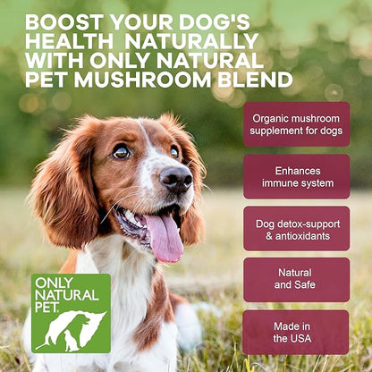 Only Natural Pet Mushroom Blend Immune System Support Supplement for Dogs - Boost Healthy Cellular, Digestive, & Liver Function - Multivitamin Beta-Glucan & Antioxidant - Bacon Flavor 60 Soft Chews