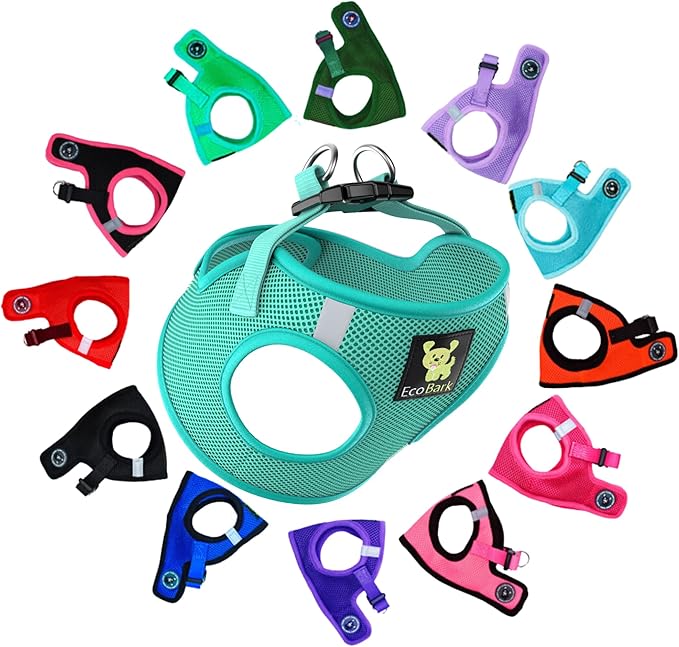 EcoBark Step in Dog Harness - Eco-Friendly Teacup Dog Harnesses for XXS, XS, and Small Dogs - Reflective and Adjustable Mini Body Halter Vest -Tiny Soft Mesh Toy Breed Harness Under 5 lbs (XXXS, Mint)
