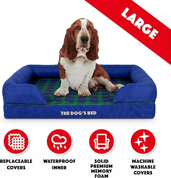 The Dog’s Bed Orthopedic Memory Foam Dog Bed with Bolsters for Large Dogs, High Density Support Mattress, Low Front Entry, Removable Washable Cover, Oxford Fabric, Black Watch Tartan, Large