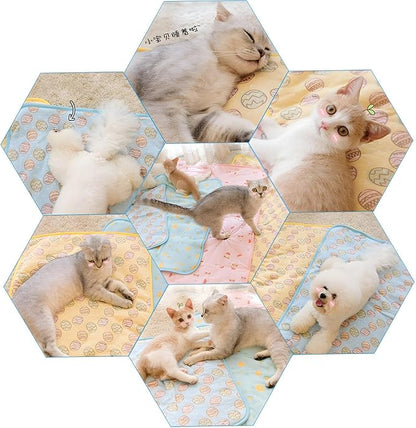 NACOCO Pet Cooling Mat Cat Dog Cushion Pad Summer Cool Down Comfortable Soft for Pets and Adults (S,Blue)