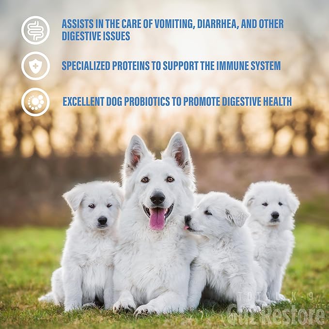 Dog Gut Restore Supplement – Probiotics & Digestive Enzymes for Dogs, Supports Gut Health, Stool Balance & Immune Support – Oral Paste Syringe 60g, Made in USA