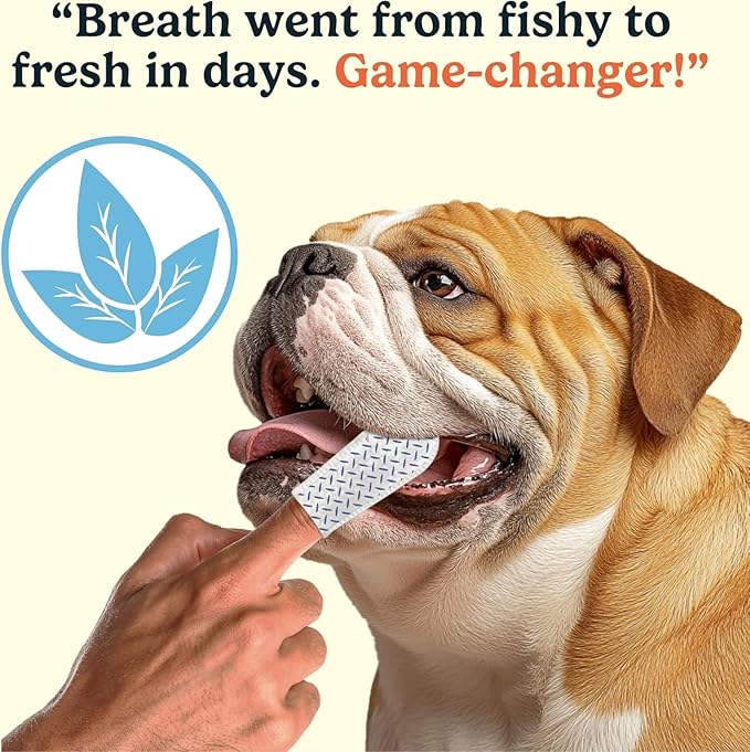 Jasper Dog Dental Wipes, Vet-Recommended Natural Cat & Dog Teeth Cleaning Wipes Dog Teeth Cleaner, Disposable Wipes Fresh Breath PlaqLift Technology Attacks Plaque and Buildup, Coconut, 60 Count