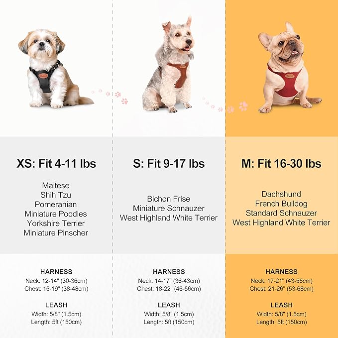 Beirui ‌Stylish PU Leather Dog Harness‌ and Leash Set for Small Dogs, ‌Adjustable Step in Dog Vest Harness with Breathable Mesh Lining and Durable Metal Buckle for Walking Traveling(Black,M)