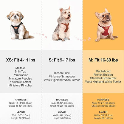 Beirui ‌Stylish PU Leather Dog Harness‌ and Leash Set for Small Dogs, ‌Adjustable Step in Dog Vest Harness with Breathable Mesh Lining and Durable Metal Buckle for Walking Traveling(Red,M)