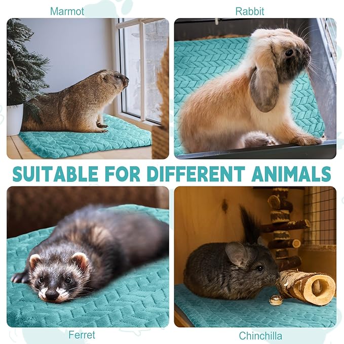 Drydiet 4 Pack Self Warming Cat Bed Mat Self Heating Pad for Dog Extra Warm Winter Pet Pad Washable Thermal Pads Mats for Pets Indoor Outdoor(Green,16 x 20 Inch)