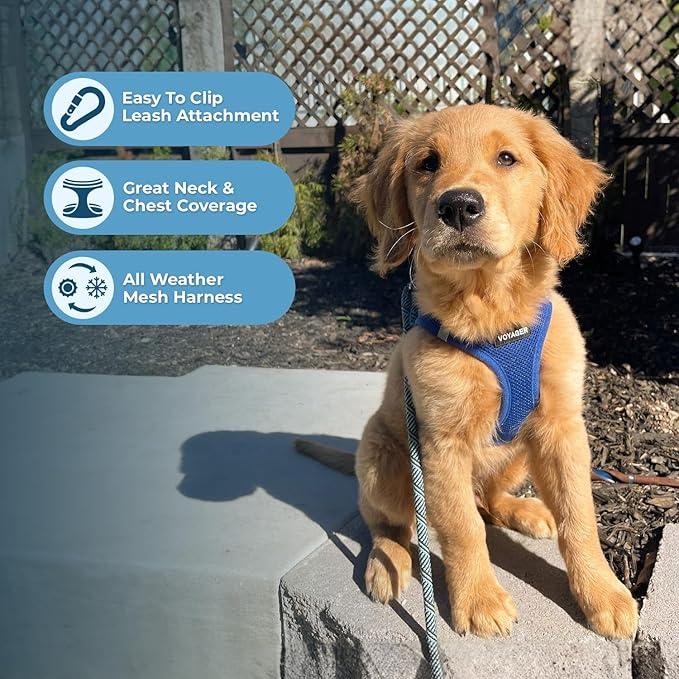 Best Pet Supplies Voyager Step-in Air All Weather Mesh Harness and Reflective Dog 5ft Leash Combo with Neoprene Handle, for Small, Medium and Large Breed Puppies - Set (Royal Blue), Small