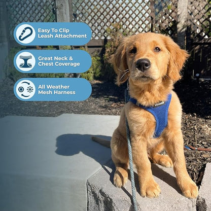 Best Pet Supplies Voyager Step-in Air All Weather Mesh Harness and Reflective Dog 5ft Leash Combo with Neoprene Handle, for Small, Medium and Large Breed Puppies - Set (Royal Blue), XX-Small