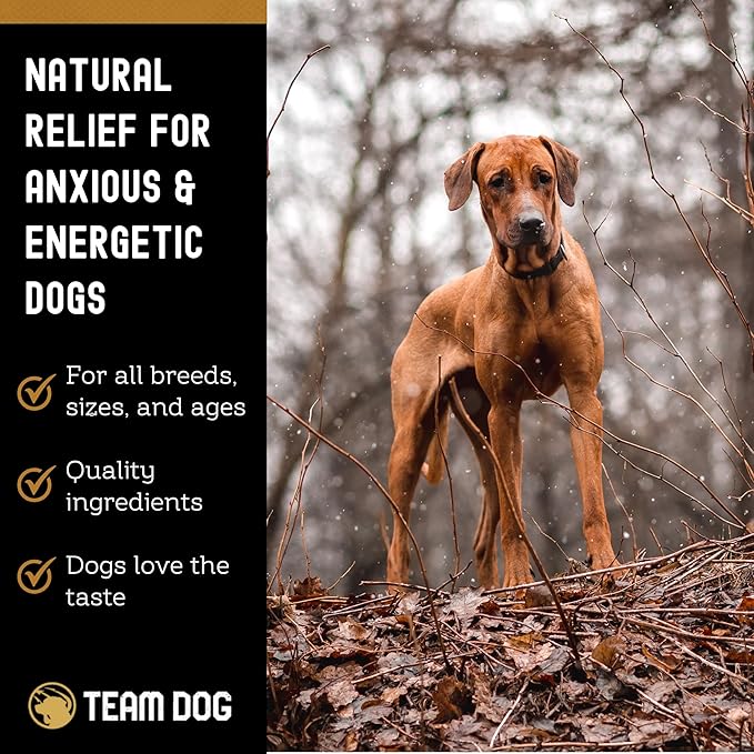 TEAM DOG Calming Chews - Anxiety Relief Treats | Natural Calming Bites with Melatonin, Chamomile, Valerian & Passion Flower | 120 Soft Chews for Large & Small Dogs | Delicious Peanut Butter Flavor