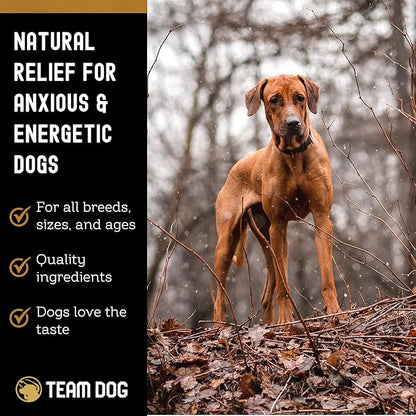TEAM DOG Calming Chews - Anxiety Relief Treats | Natural Calming Bites with Melatonin, Chamomile, Valerian & Passion Flower | 120 Soft Chews for Large & Small Dogs | Delicious Peanut Butter Flavor