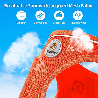 Hipubby Dog Harness and Leash Set, No Pull Soft Mesh Puppy Harness for Small Medium Dogs, Cats - Step in Reflective Breathable Lightweight Vest Harness for Walking, Training - Orange, L